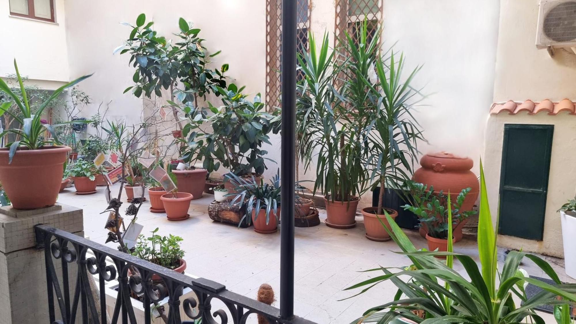 Loft Magna Grecia Reggio Calabria Centro Storico A 3 Minuti A Piedi Dal Mare Apartment ภายนอก รูปภาพ